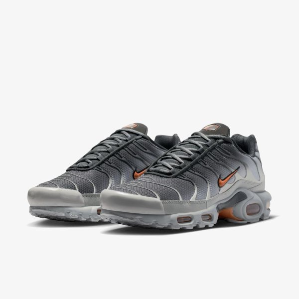Чоловічі кросівки NIKE AIR MAX PLUS
