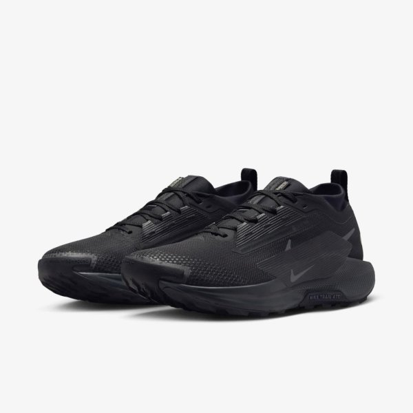 Мужские кроссовки NIKE PEGASUS TRAIL 5 GTX