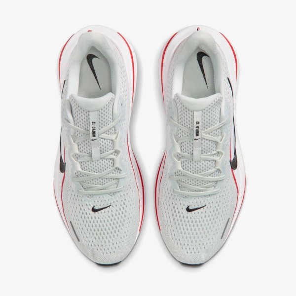Чоловічі кросівки NIKE AIR WINFLO 12