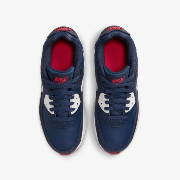 Дитячі кросівки NIKE AIR MAX 90 LTR (GS)