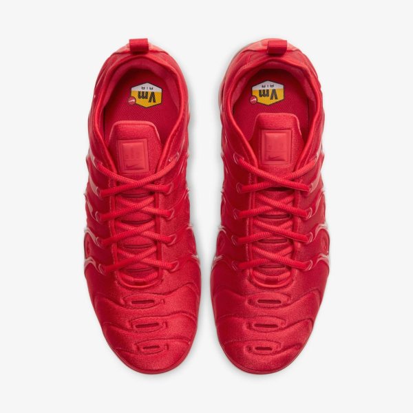 Чоловічі кросівки NIKE AIR VAPORMAX PLUS