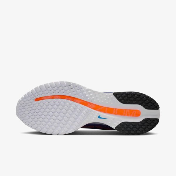 Мужские кроссовки NIKE PEGASUS PREMIUM