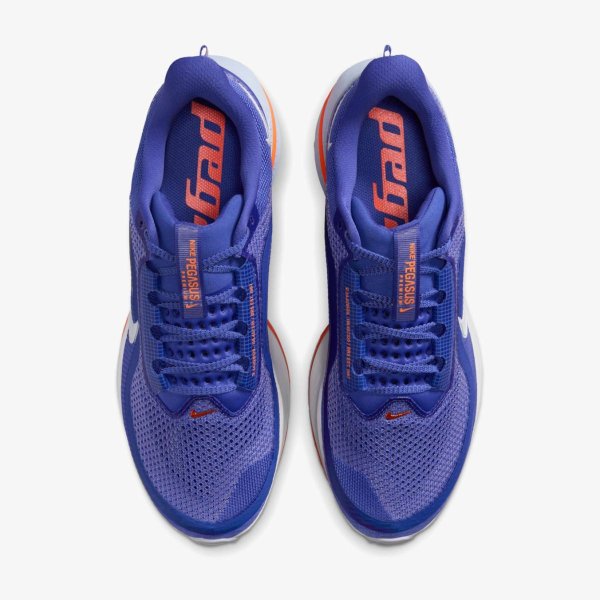 Мужские кроссовки NIKE PEGASUS PREMIUM