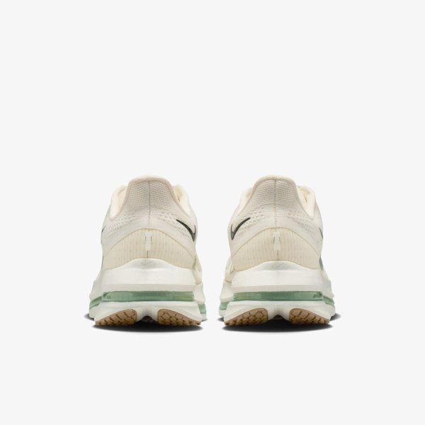 Чоловічі кросівки NIKE PEGASUS PREMIUM