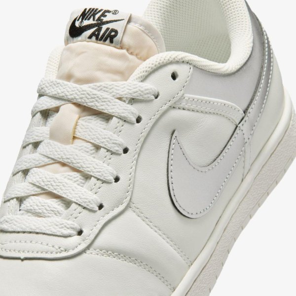 Жіночі кросівки WMNS AIR JORDAN SKYLINE LOW LE