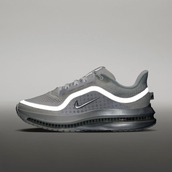 Жіночі кросівки NIKE W NIKE PEGASUS PREMIUM ESS