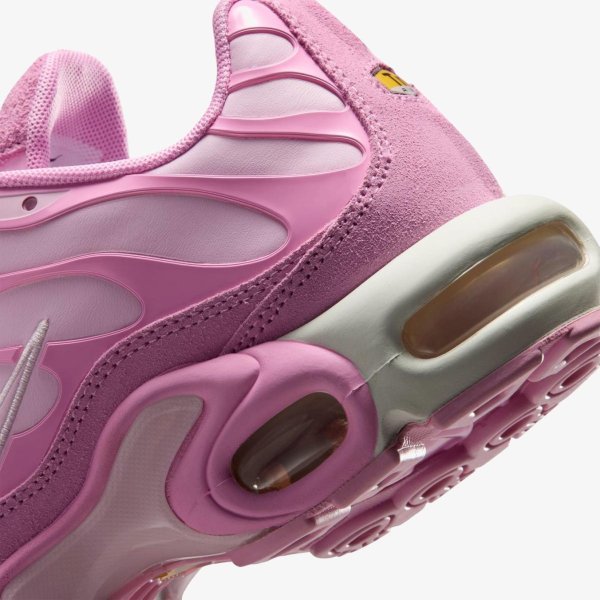 Жіночі кросівки NIKE WMNS AIR MAX PLUS SUEDE