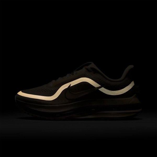 Жіночі кросівки NIKE PEGASUS PREMIUM