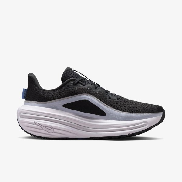 Жіночі кросівки NIKE AIR WINFLO 12