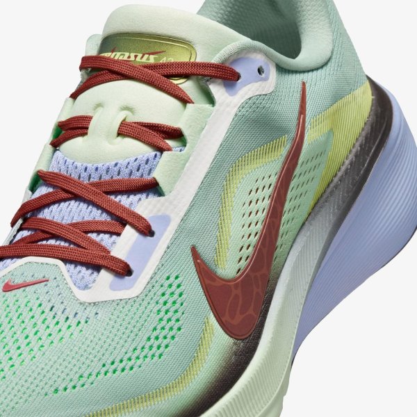 Мужские кроссовки NIKE AIR ZOOM PEGASUS 42 SE