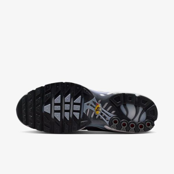 Чоловічі кросівки NIKE AIR MAX PLUS