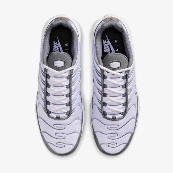 Чоловічі кросівки NIKE AIR MAX PLUS