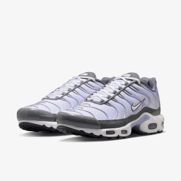 Чоловічі кросівки NIKE AIR MAX PLUS