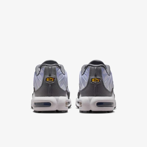Чоловічі кросівки NIKE AIR MAX PLUS