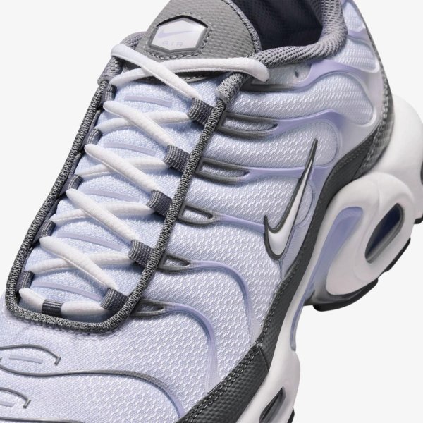 Чоловічі кросівки NIKE AIR MAX PLUS
