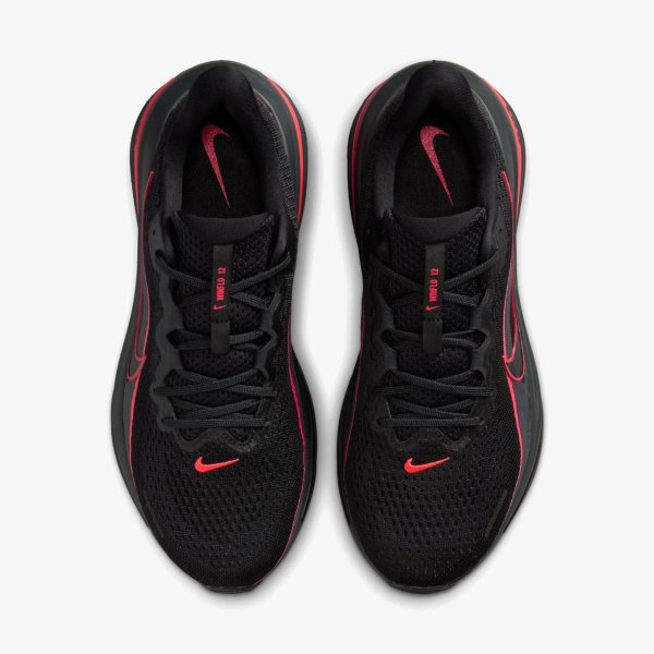 Мужские кроссовки NIKE AIR WINFLO 12