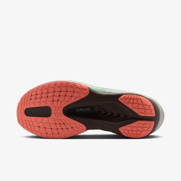 Чоловічі кросівки NIKE ZOOM FLY 6