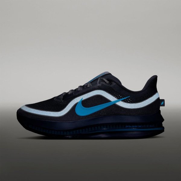 Чоловічі кросівки NIKE PEGASUS PREMIUM