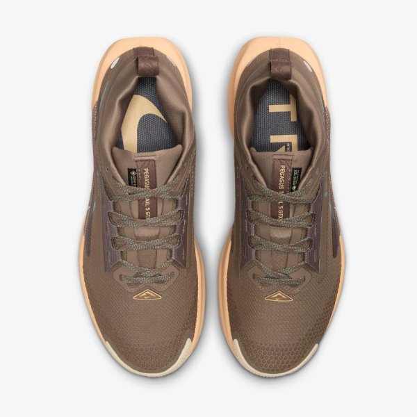 Жіночі кросівки NIKE W PEGASUS TRAIL 5 GTX