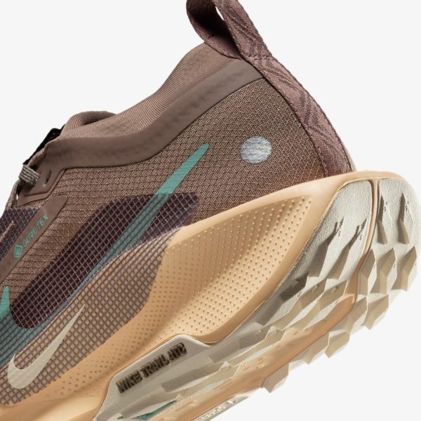 Жіночі кросівки NIKE W PEGASUS TRAIL 5 GTX