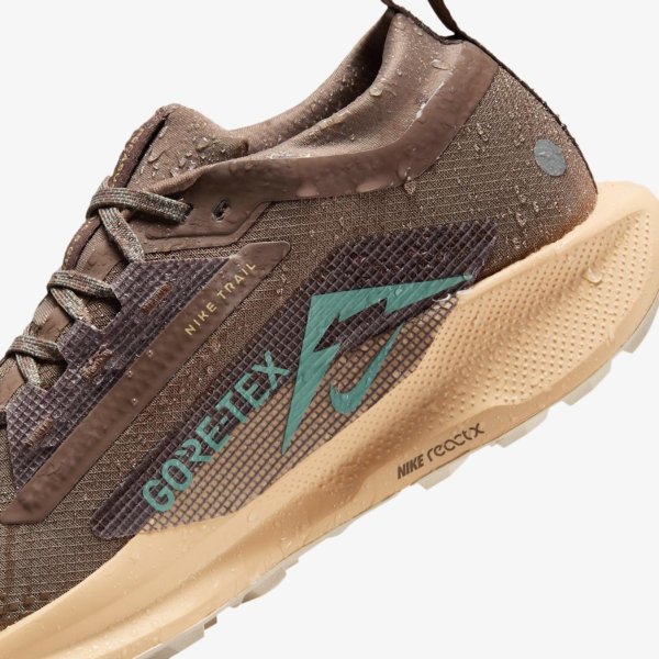 Жіночі кросівки NIKE W PEGASUS TRAIL 5 GTX