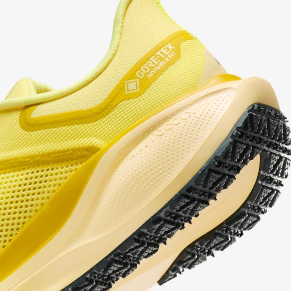 Мужские кроссовки NIKE AIR ZM PEGASUS 41 GTX