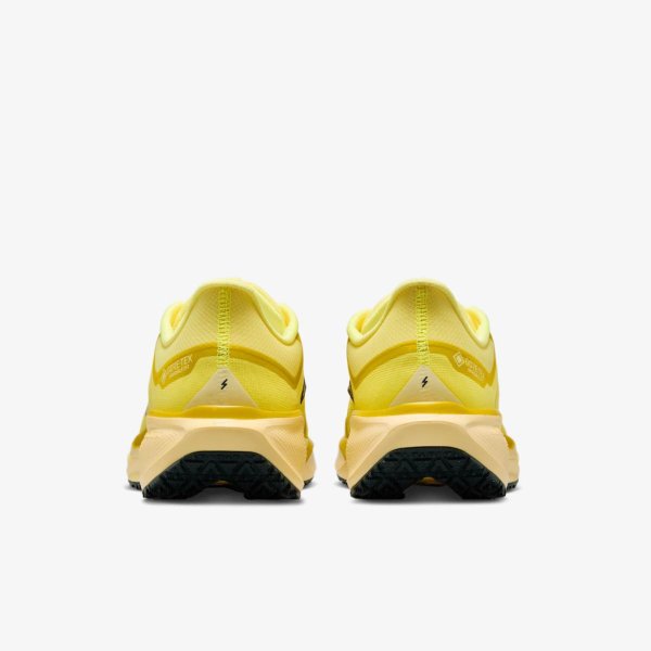 Мужские кроссовки NIKE AIR ZM PEGASUS 41 GTX