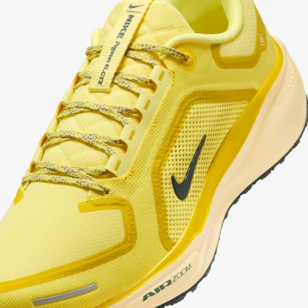 Мужские кроссовки NIKE AIR ZM PEGASUS 41 GTX