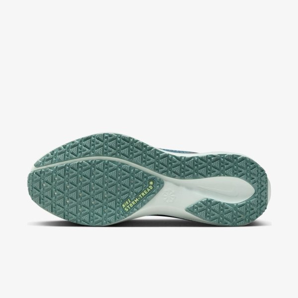 Жіночі кросівки NIKE W AIR ZM PEGASUS 41 GTX