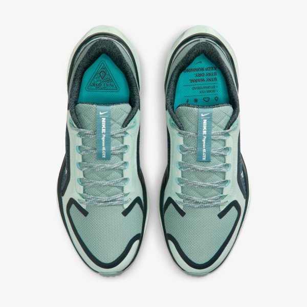 Жіночі кросівки NIKE W AIR ZM PEGASUS 41 GTX