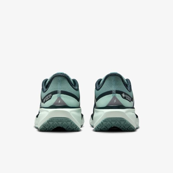 Жіночі кросівки NIKE W AIR ZM PEGASUS 41 GTX
