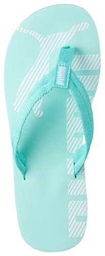 Тапочки Puma Epic Flip v2