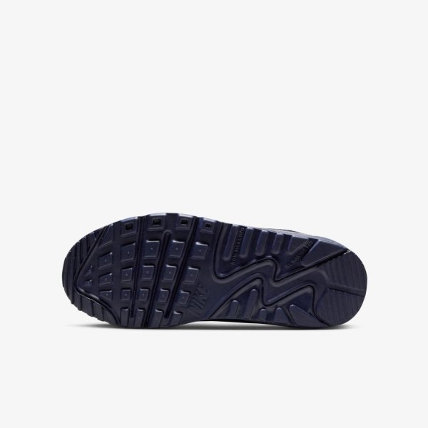 Дитячі кросівки NIKE AIR MAX 90 LTR (GS)