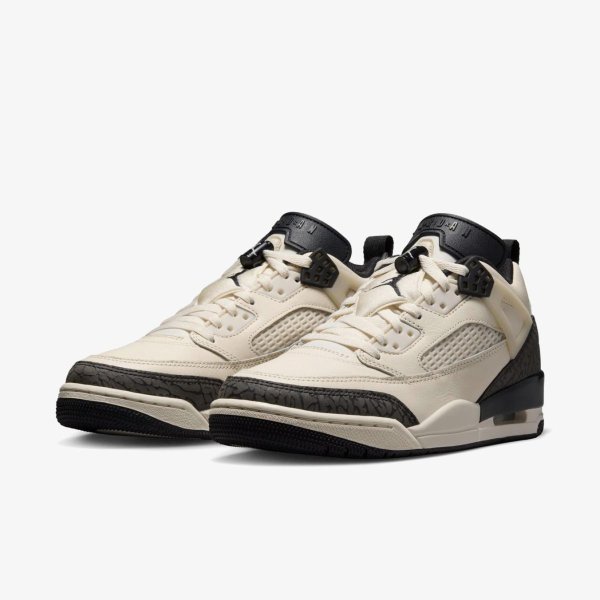 Жіночі кросівки JORDAN SPIZIKE LOW SHOES