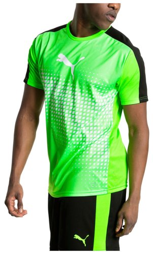 Футболка Puma IT evoTRG Graphic Tee