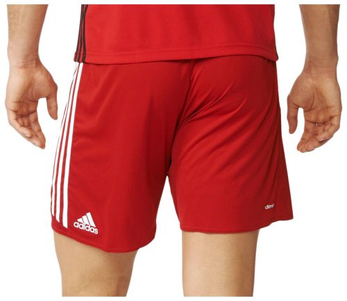 Шорты Adidas REGI 16 SHO