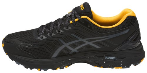 Кроссовки для бега Asics GT-2000 5 TRAIL PLASMAGUARD