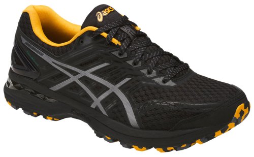 Кроссовки для бега Asics GT-2000 5 TRAIL PLASMAGUARD