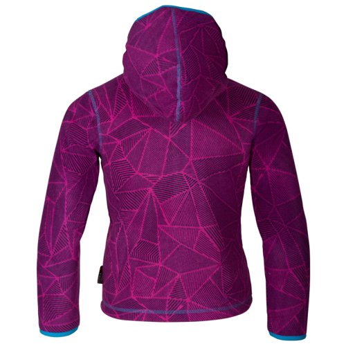 Флис Alpine Pro MANLIO 2