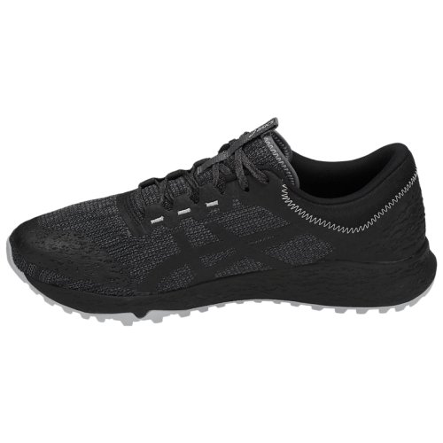 Кроссовки для бега Asics ALPINE XT