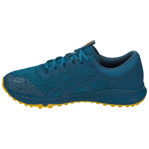 Кроссовки для бега Asics ALPINE XT