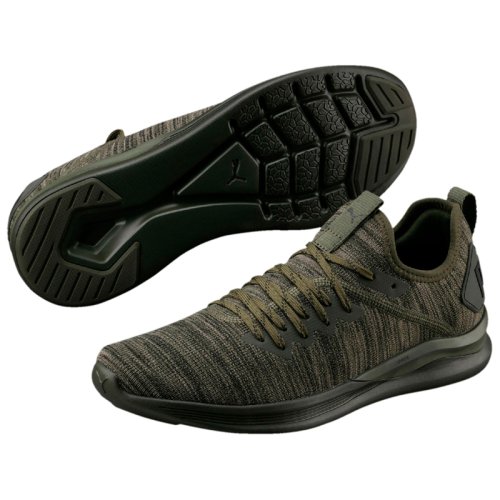 Кроссовки для тренировок Puma IGNITE FLASH EVOKNIT