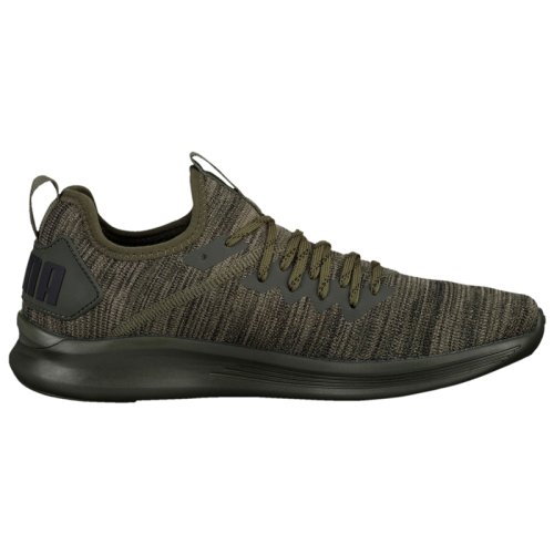 Кроссовки для тренировок Puma IGNITE FLASH EVOKNIT