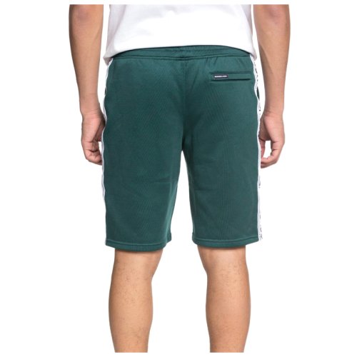 Шорти DC HEGGERTY SHORT M OTLR
