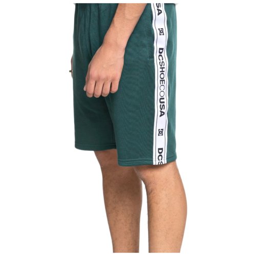 Шорти DC HEGGERTY SHORT M OTLR