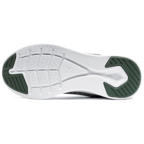 Кроссовки для тренировок Puma IGNITE Flash evoKNIT Wn's