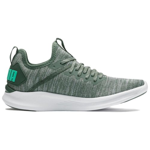 Кроссовки для тренировок Puma IGNITE Flash evoKNIT Wn's