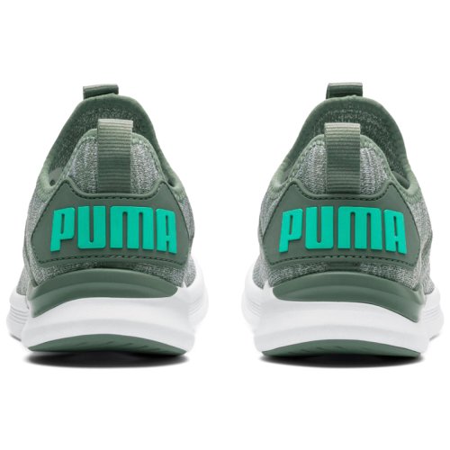 Кроссовки для тренировок Puma IGNITE Flash evoKNIT Wn's