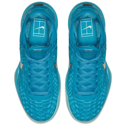 Кроссовки для тенниса Nike WMNS AIR ZOOM CAGE 3 HC