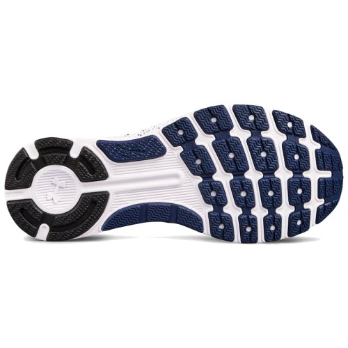 Кросівки для бігу Under Armour W Charged Bandit 3 Ombre